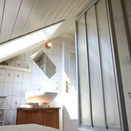 Schone Dachgeschosswohnung In Villa Mit Zentrumsnaher Lage Шляйц Екстер'єр фото