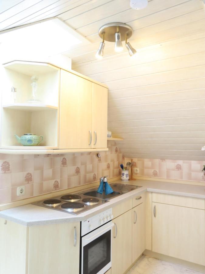 Schone Dachgeschosswohnung In Villa Mit Zentrumsnaher Lage Шляйц Екстер'єр фото